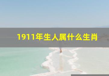 1911年生人属什么生肖