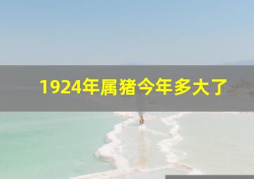 1924年属猪今年多大了