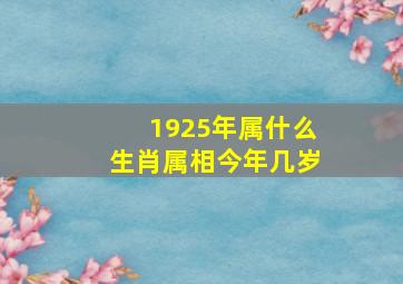 1925年属什么生肖属相今年几岁