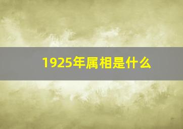 1925年属相是什么