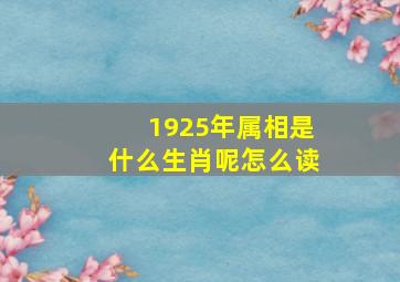 1925年属相是什么生肖呢怎么读