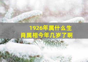 1926年属什么生肖属相今年几岁了啊