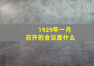 1929年一月召开的会议是什么