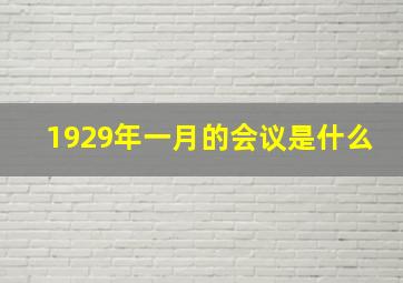 1929年一月的会议是什么