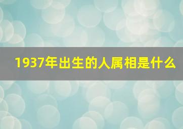 1937年出生的人属相是什么