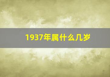 1937年属什么几岁