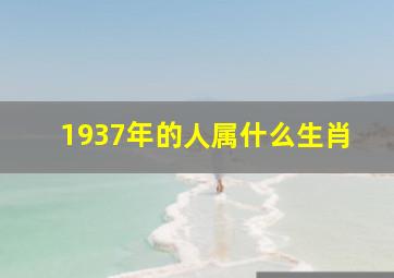 1937年的人属什么生肖