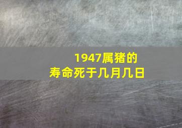 1947属猪的寿命死于几月几日