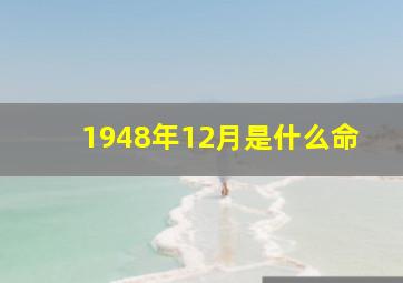 1948年12月是什么命