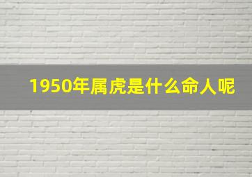 1950年属虎是什么命人呢