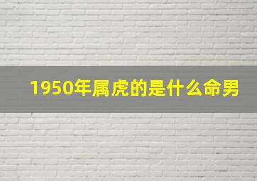 1950年属虎的是什么命男