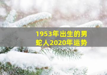 1953年出生的男蛇人2020年运势