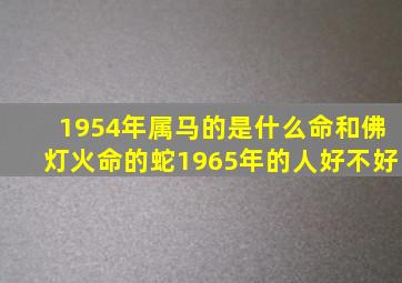 1954年属马的是什么命和佛灯火命的蛇1965年的人好不好