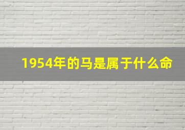 1954年的马是属于什么命