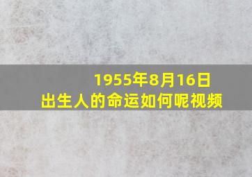 1955年8月16日出生人的命运如何呢视频