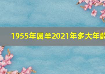 1955年属羊2021年多大年龄