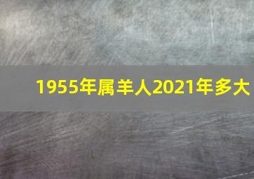 1955年属羊人2021年多大