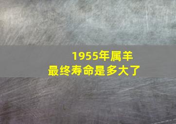 1955年属羊最终寿命是多大了