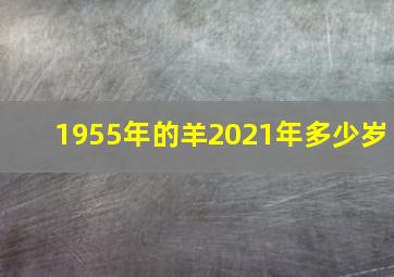 1955年的羊2021年多少岁