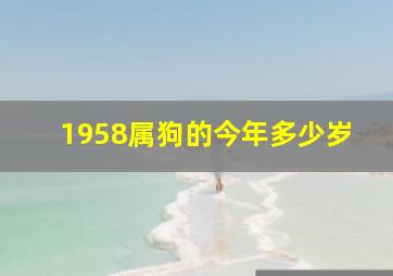 1958属狗的今年多少岁