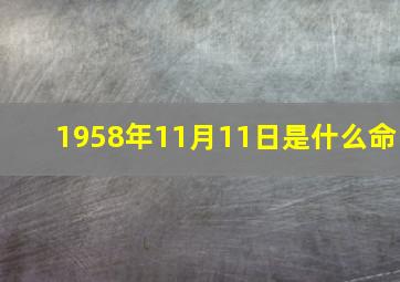 1958年11月11日是什么命