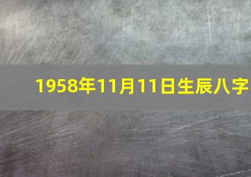 1958年11月11日生辰八字