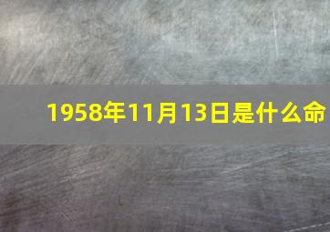 1958年11月13日是什么命