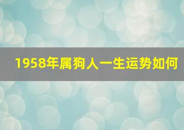 1958年属狗人一生运势如何