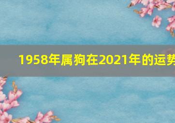 1958年属狗在2021年的运势