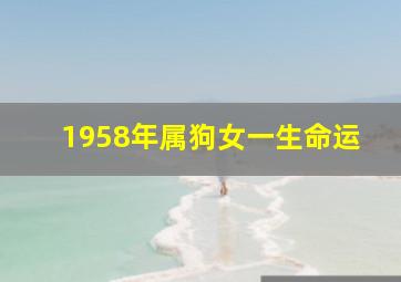 1958年属狗女一生命运