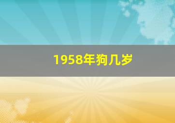 1958年狗几岁