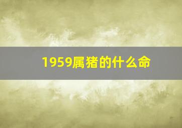 1959属猪的什么命