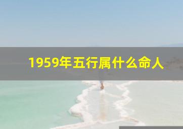 1959年五行属什么命人