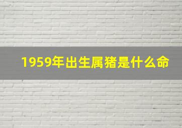 1959年出生属猪是什么命