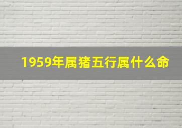 1959年属猪五行属什么命