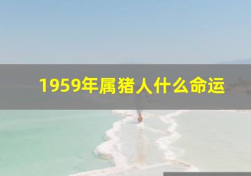 1959年属猪人什么命运