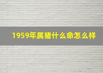 1959年属猪什么命怎么样