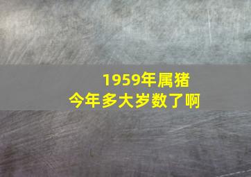 1959年属猪今年多大岁数了啊