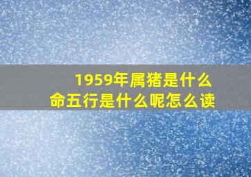 1959年属猪是什么命五行是什么呢怎么读