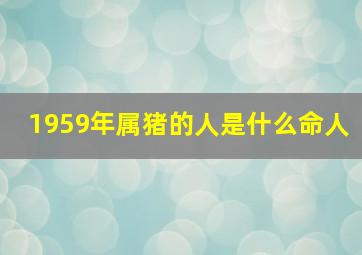 1959年属猪的人是什么命人