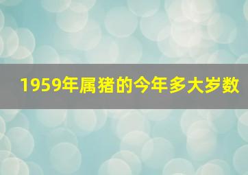 1959年属猪的今年多大岁数