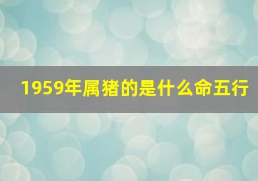 1959年属猪的是什么命五行