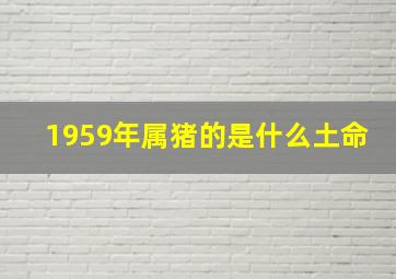 1959年属猪的是什么土命