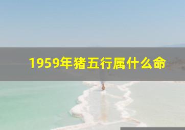 1959年猪五行属什么命