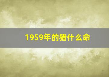 1959年的猪什么命