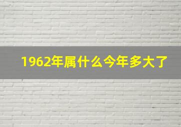 1962年属什么今年多大了