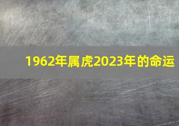 1962年属虎2023年的命运