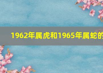 1962年属虎和1965年属蛇的