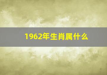 1962年生肖属什么