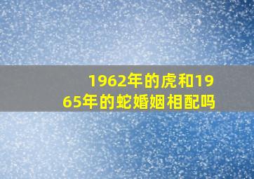 1962年的虎和1965年的蛇婚姻相配吗